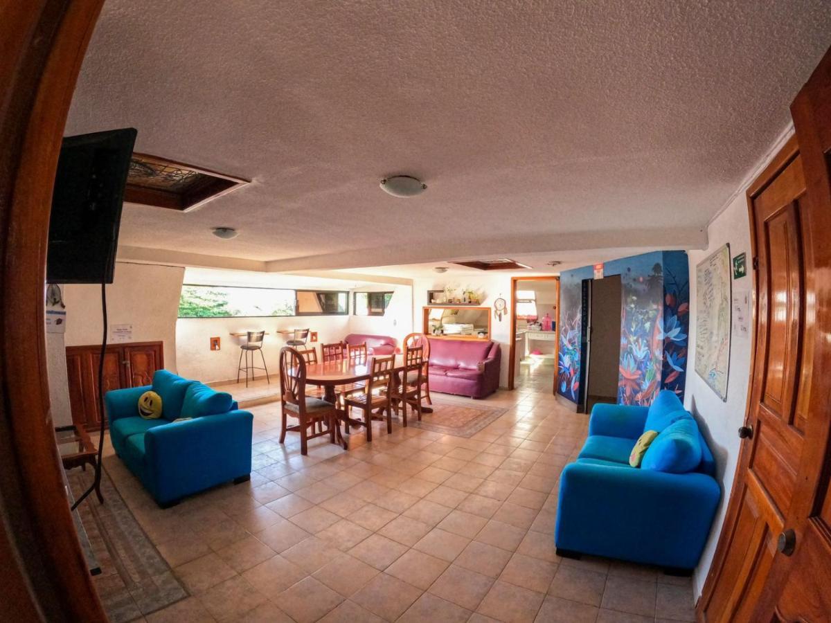 La Izsla Playa Del Carmen Hotel Luaran gambar