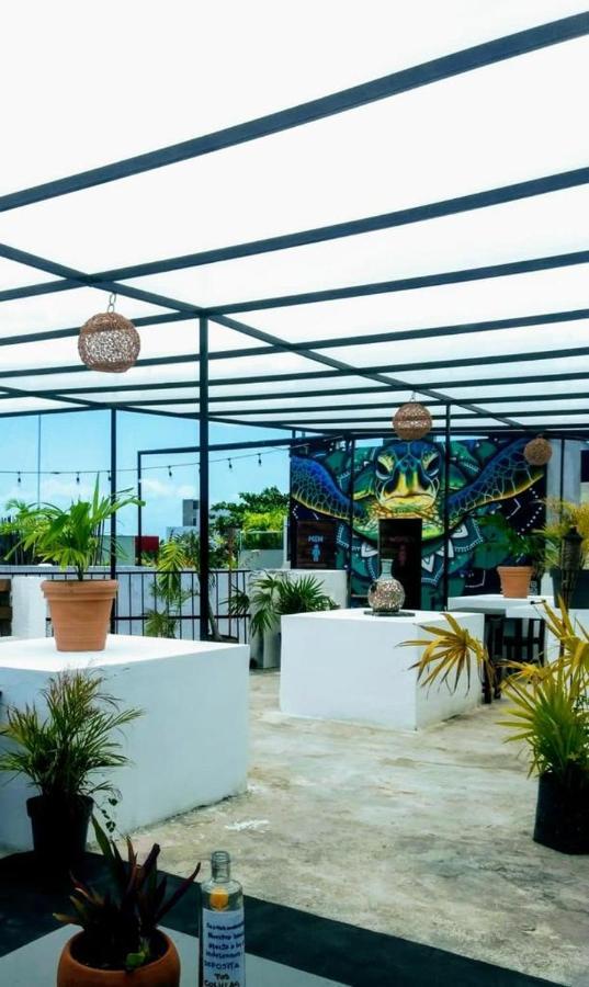 La Izsla Playa Del Carmen Hotel Luaran gambar
